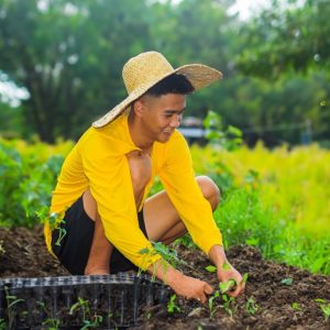 Youth Scholarship (Internship) Grant on Organic Farming